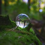 Eko-podróże: Jak podróżować w zgodzie z naturą? - 3 2025