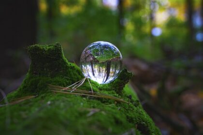 Eko-podróże: Jak podróżować w zgodzie z naturą? - 5 2025