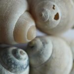 ** Co napędza kolekcjonera? Psychologiczne motywacje i potrzeby za kompulsywnym gromadzeniem - 3 2025