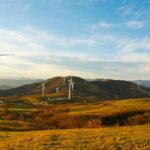 Zmiany Klimatyczne a Ochrona Przyrody: Jak Możemy Działać Teraz - 3 2025