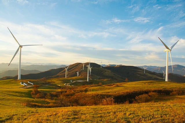 Zmiany Klimatyczne a Ochrona Przyrody: Jak Możemy Działać Teraz - 1 2025