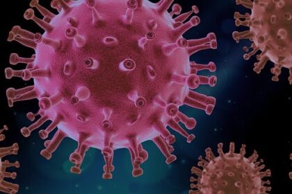Jak naturalnie wzmocnić odporność dziecka przed rozpoczęciem roku szkolnego? - 13 2025