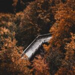 ** Jakie techniki mindfulness są najbardziej efektywne w biurze open space? - 3 2025