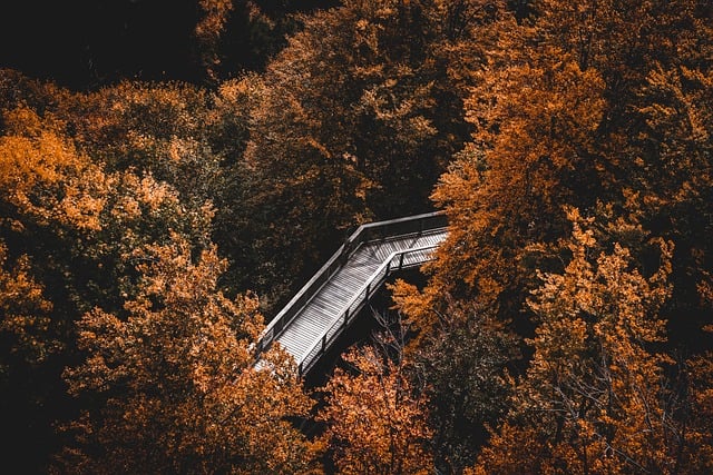 ** Jakie techniki mindfulness są najbardziej efektywne w biurze open space? - 1 2025