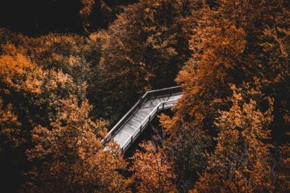 ** Mindfulness a produktywność: Czy medytacja w pracy naprawdę działa? - 15 2025