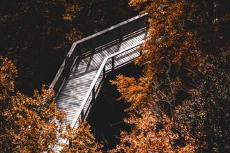 Mindfulness w codziennym życiu: Jak praktyka uważności zmienia nasze podejście do stresu - 7 2025