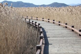 Naturalne metody na stres – jak przyroda może pomóc w codziennym życiu - 7 2025