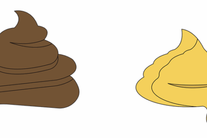 Jak przygotować dom dla seniora kota? - 8 2025 Jak przygotować dom dla seniora kota? - 7 2025