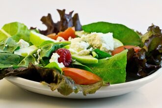 „Dieta roślinna dla psów: jak zbilansować posiłki?” - 11 2025