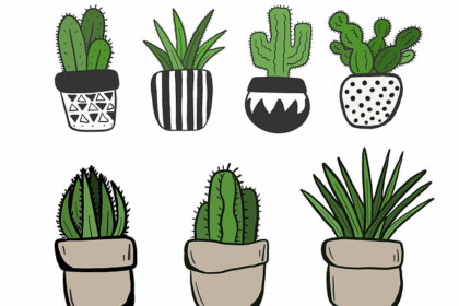 Jakie rośliny są bezpieczne dla kotów i psów w domu? - 20 2025 Jakie rośliny są bezpieczne dla kotów i psów w domu? - 19 2025