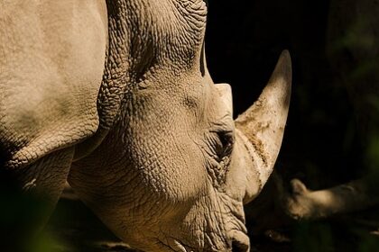 Przetwory Warzywne: Domowe Sposoby na Zdrową Spiżarnię - 2 2025 Przetwory Warzywne: Domowe Sposoby na Zdrową Spiżarnię - 1 2025